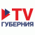 TV Губерния